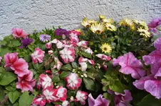 _DSC6083.webp