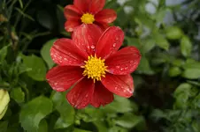 _DSC6074.webp