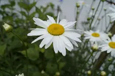 _DSC6066.webp