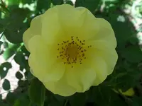 SAM_1820.webp