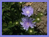 080.webp
