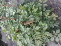 20140625_171016.webp