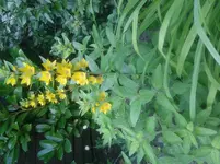 20140625_171048.webp