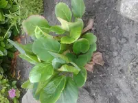 20140625_171122.webp