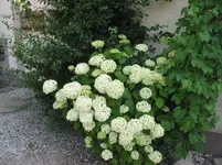 IMG_5097.webp
