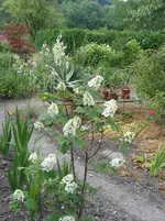 IMG_5099.webp