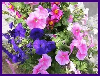 163.webp