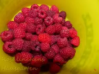 Himbeeren.webp