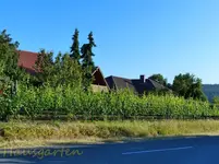 Weingarten.webp