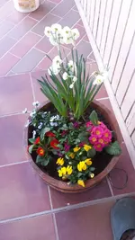 Blumen.webp