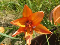 012_1024x768.webp