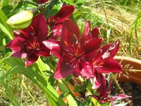 011_1024x768.webp
