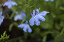 _DSC6112.webp