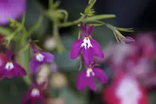 _DSC6114.webp
