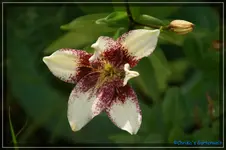 comp_DSC01797.webp
