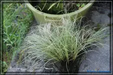 comp_DSC01772.webp