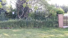 Vorgarten2.webp