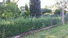 Vorgarten3.webp