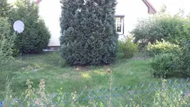 Vorgarten4.webp