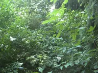 BILD2948.webp