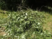 BILD2947.webp
