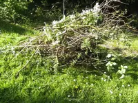 BILD2732.webp