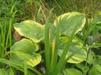 013_1024x768.webp