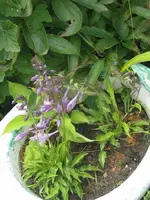 014_1024x768.webp