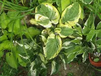 016_1024x768.webp
