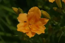 Busy (2).webp