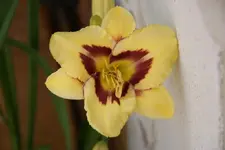 DSC08823.webp