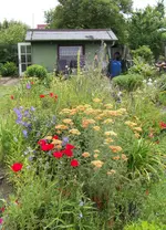 008.webp