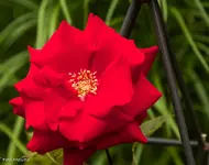 IMG_1754.webp
