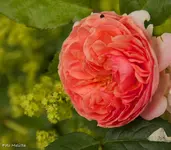 IMG_1757.webp