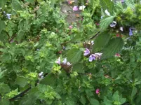 IMG_3978[1].webp