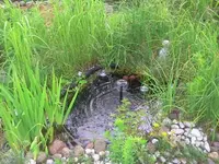 wasser.webp