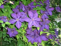 k-DSCI2665.webp