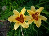 k-DSCI2668.webp