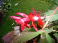 k-DSCI2674.webp
