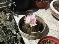 BILD3013.webp