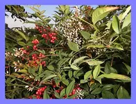 042.webp
