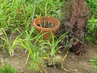 022_1024x768.webp