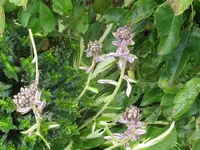 016_1024x768.webp