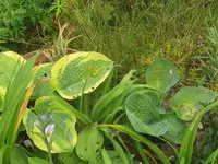 018_1024x768.webp