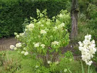 IMG_5119.webp
