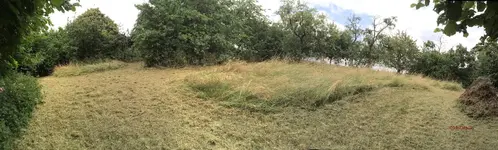 G_Wiese_oben_Panorama03_gemäht__21.06.2014_mr.ditschy.webp