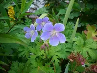 k-DSCI2667.webp