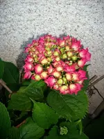 k-DSCI2673.webp