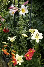 _DSC6172.webp