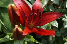 _DSC6167.webp